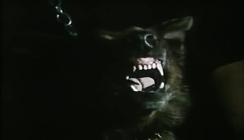 screamofwolf5